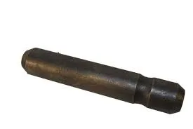 Bioráin Acastóra Takeuchi TSA /CT8E6208